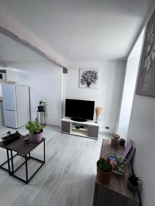 Charmante Maison Renovee Nérac Εξωτερικό φωτογραφία
