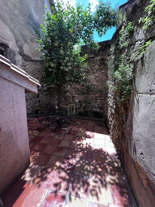 Charmante Maison Renovee Nérac Εξωτερικό φωτογραφία